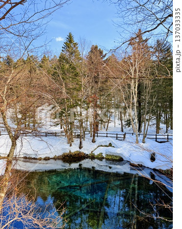 北海道神の子池をスノーシュー散策 北海道神の子池をスノーシュー散策 137033335