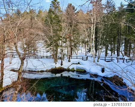 北海道神の子池をスノーシュー散策 137033337