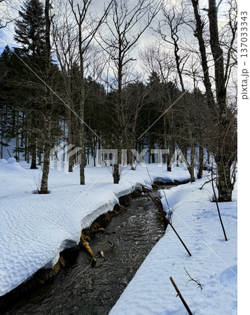 北海道神の子池をスノーシュー散策 北海道神の子池をスノーシュー散策 137033343