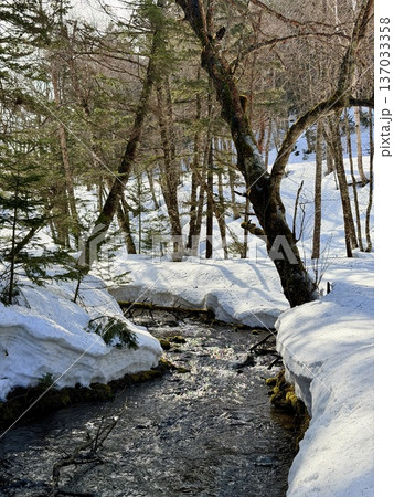 北海道神の子池をスノーシュー散策 137033358