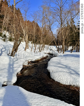 北海道神の子池をスノーシュー散策 137033360