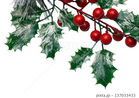 Classic Holly with Berries Christmas Decor on White 137033433