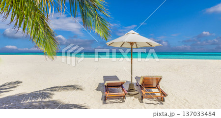 Picturesque summer panoramic honeymoon beach ocean view quiet luxury palm leaves Picturesque summer panoramic honeymoon beach ocean view quiet luxury palm leaves 137033484