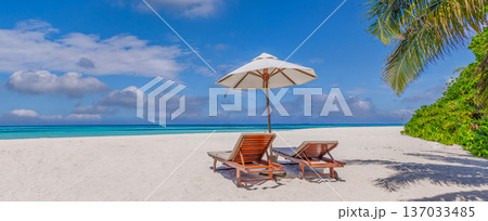 Dream travel summer ocean beach love couple honeymoon destination scenic radiant palm trees elemental luxury blue health Dream travel summer ocean beach love couple honeymoon destination scenic radiant palm trees elemental luxury blue health 137033485
