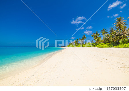 Scenic summer vacation beach tropical landscape ocean background calm waves sky 137033507