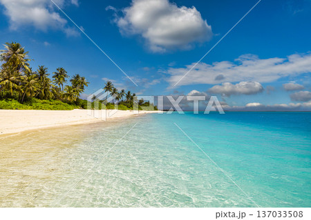 Tranquil mood summer vacation beach background calm waves tropical landscape Tranquil mood summer vacation beach background calm waves tropical landscape 137033508