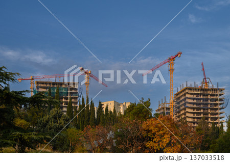 High-Rise Residential Construction with Twin Tower Cranes at Work High-Rise Residential Construction with Twin Tower Cranes at Work 137033518