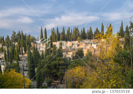 Georgian Cemetery on Hillside in Saburtalo District, Tbilisi 137033539
