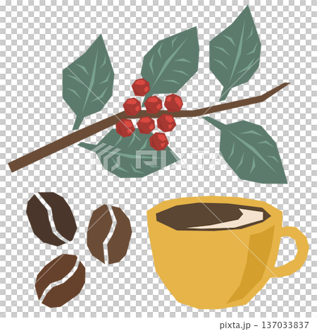 レトロモダン風 コーヒー コーヒーの実 コーヒー豆 挿絵 ベクターイラスト 137033837