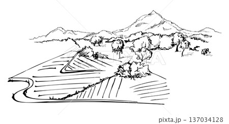 Stylized farmland landscape with cultivated field patches, trees and mountains in distance, country road. Isolated ink vector hand drawn illustration. Organic food labels, natural cosmetics branding 137034128