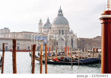 Gondolas and boats by the water near a large building in Venice during the day 137034455