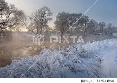 Stunning winter morning scene with a peaceful river glowing in warm golden sunlight. Trees along the shore are dusted with frost and snow, reflecting softly in the calm icy water. Stunning winter morning scene with a peaceful river glowing in warm golden sunlight. Trees along the shore are dusted with frost and snow, reflecting softly in the calm icy water. 137034650