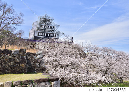 福岡城 福岡城址 福岡城さくらまつり ライトアップ用仮設天守 福岡城 福岡城址 福岡城さくらまつり ライトアップ用仮設天守 137034785