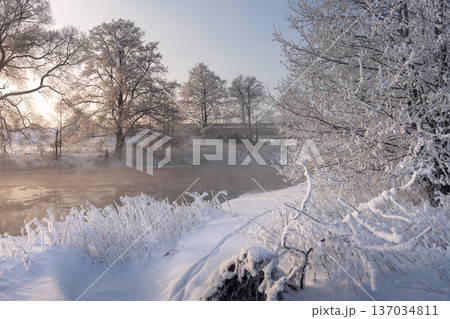 Peaceful winter morning landscape featuring a calm riverside lined with snowy trees covered in sparkling frost. Soft mist hovers over the water, cold pristine atmosphere, pure white wilderness Peaceful winter morning landscape featuring a calm riverside lined with snowy trees covered in sparkling frost. Soft mist hovers over the water, cold pristine atmosphere, pure white wilderness 137034811