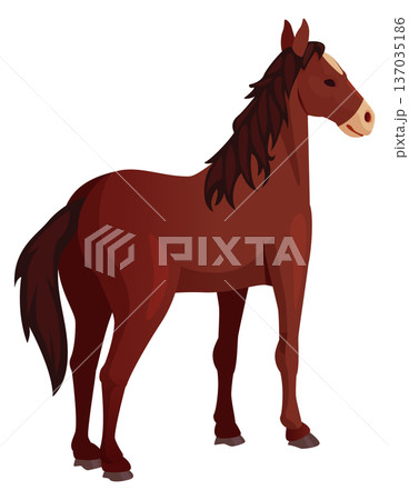 Brown wild horse color icon. Farm livestock animal 137035186