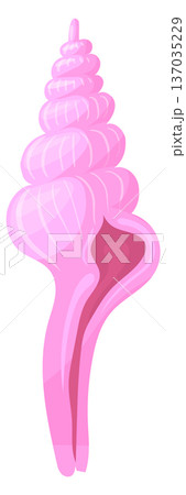 Tropical pink seashell cartoon icon. Shell decoration 137035229