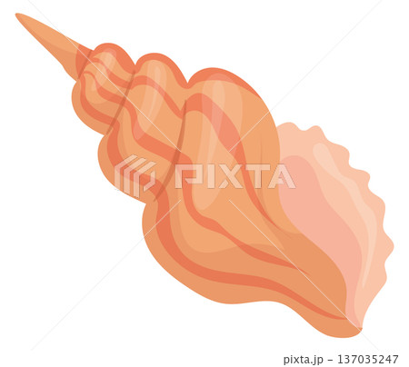 Cone spiral seashell cartoon icon. Decorative shell 137035247