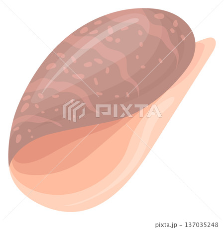 Whelk shell. Brown sand beach sea creature 137035248