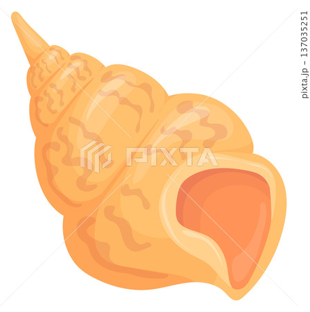 Tulip conch cartoon icon. Exotic fauna symbol 137035251