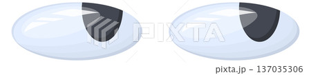 Plastic toy eyes. Right looking goggly pair 137035306