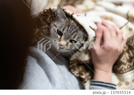 ネコを抱く ネコを抱く 137035314