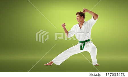 Karate fighter in white gi performing strong defensive stance with green belt. Karate fighter in white gi performing strong defensive stance with green belt. 137035478