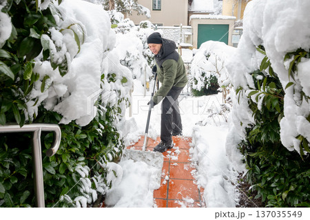 Adult person performs snow cleaning among bushes and plants in yard territory Adult person performs snow cleaning among bushes and plants in yard territory 137035549