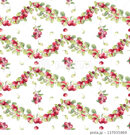 Watercolor lingonberry seamless pattern isolated on. Bright plants with fruits ornament background. Natural food repeat design for fabric, textile, wallpaper, menu, wrapping paper. Cranberry drawing. Watercolor lingonberry seamless pattern isolated on. Bright plants with fruits ornament background. Natural food repeat design for fabric, textile, wallpaper, menu, wrapping paper. Cranberry drawing. 137035869