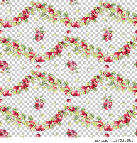 Watercolor lingonberry seamless pattern isolated on. Bright plants with fruits ornament background. Natural food repeat design for fabric, textile, wallpaper, menu, wrapping paper. Cranberry drawing. Watercolor lingonberry seamless pattern isolated on. Bright plants with fruits ornament background. Natural food repeat design for fabric, textile, wallpaper, menu, wrapping paper. Cranberry drawing. 137035869