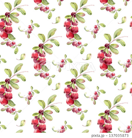 Lingonberry cranberry watercolor seamless pattern isolated on white. Hand drawn botanical endless background for fabric, paper, invitation, card, textile, wallpaper design. Vibrant wintergreen fruits. Lingonberry cranberry watercolor seamless pattern isolated on white. Hand drawn botanical endless background for fabric, paper, invitation, card, textile, wallpaper design. Vibrant wintergreen fruits. 137035873