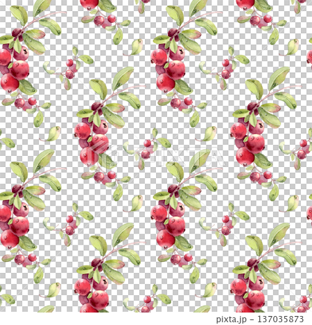 Lingonberry cranberry watercolor seamless pattern isolated on white. Hand drawn botanical endless background for fabric, paper, invitation, card, textile, wallpaper design. Vibrant wintergreen fruits. 137035873