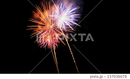 Vibrant Colorful Fireworks Bursting in Night Sky for Celebration Vibrant Colorful Fireworks Bursting in Night Sky for Celebration 137036078