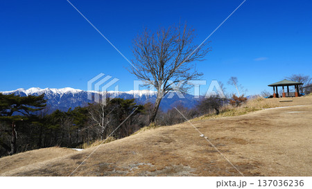 陣馬形山　山頂の風景 137036236