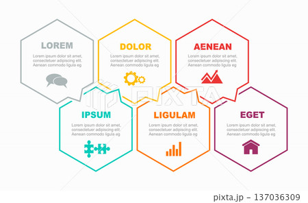 Icon hexagon infographic for process visualization, categorization, or business presentation. Vector illustration. 137036309