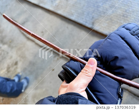 北海道の釧路湿原でを道産子に乗馬するホーストレッキング 137036319