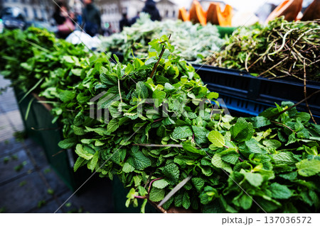 Fresh Green Mint Leaves For Sale At Market Fresh Green Mint Leaves For Sale At Market 137036572