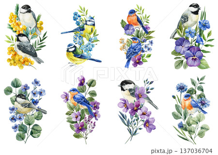 Watercolor spring birds clipart set with chickadee blue tit and bluebird surrounded by flowers mimosa pansy cornflower leaves 137036704