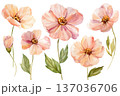 Peach abstract flowers set watercolor clipart with buds and green leaves isolated on white for spring wedding stationery 137036706