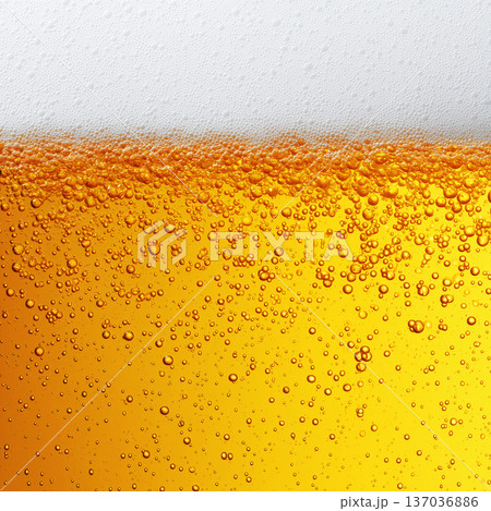 Closeup of beer with rising bubbles and foam on a white background showing freshness concept Closeup of beer with rising bubbles and foam on a white background showing freshness concept 137036886