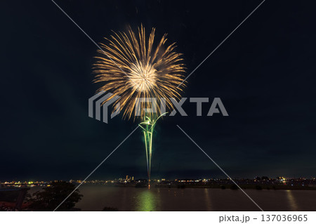 江戸川花火大会　関東 137036965