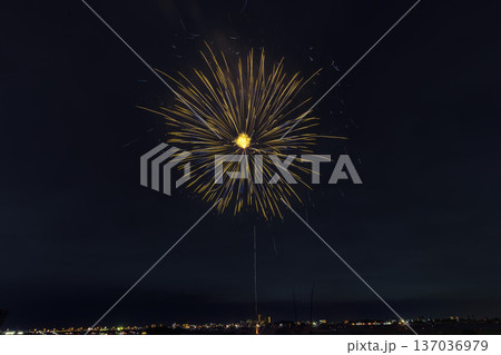 江戸川花火大会　関東 137036979