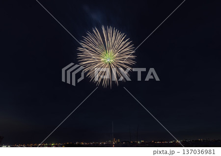 江戸川花火大会　関東 137036981