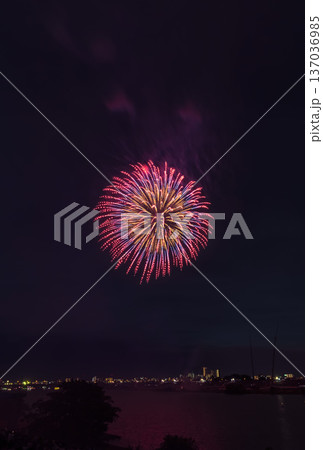 江戸川花火大会　関東 137036985