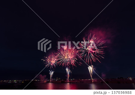 江戸川花火大会　関東 137036988