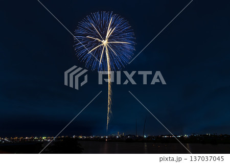 江戸川花火大会　関東 137037045