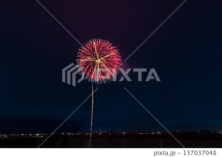 江戸川花火大会　関東 137037048