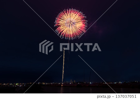 江戸川花火大会　関東 137037051