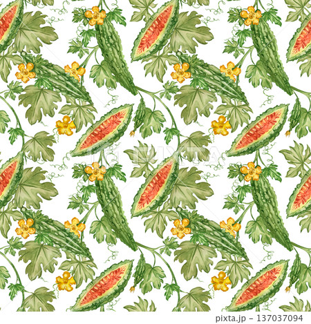 A seamless watercolor pattern featuring bitter melon and cucumber. Hand-drawn Momordica charantia with leaves, fruits, and flowers for detox and healthy food products. A seamless watercolor pattern featuring bitter melon and cucumber. Hand-drawn Momordica charantia with leaves, fruits, and flowers for detox and healthy food products. 137037094
