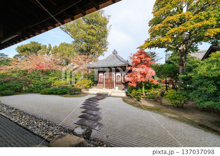 京都 秋の建仁寺 納骨堂と紅葉 京都 秋の建仁寺 納骨堂と紅葉 137037098