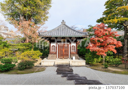 京都 秋の建仁寺 納骨堂と紅葉 京都 秋の建仁寺 納骨堂と紅葉 137037100